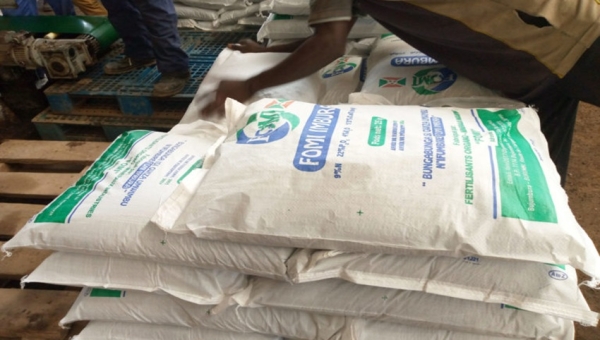  « Oui » ou « Non » pour l’engrais : à Muramvya, l’agriculture soumise à la loterie